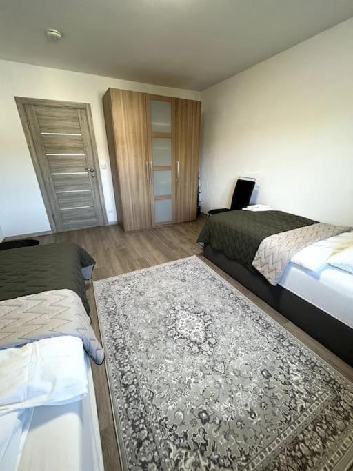 Familienwohnung Naehe Europapark, Messe, Gifiz See Offenburg Luaran gambar